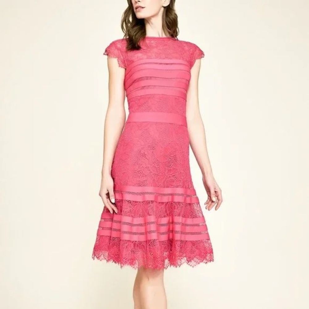 Tadashi Shoji Pink Lace Midi Dress